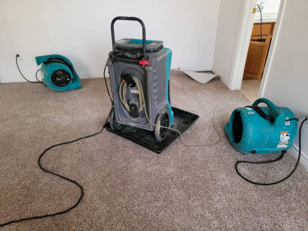 Best Water damage restoration company  in Swannanoa, NC