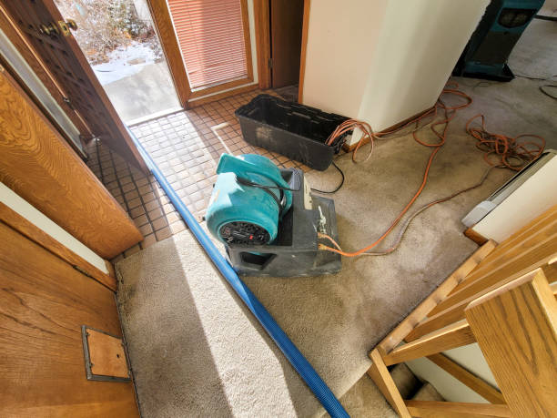 Best Water damage restoration near me  in Swannanoa, NC