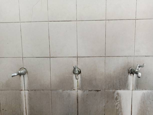 Best Flood damage cleanup  in Swannanoa, NC