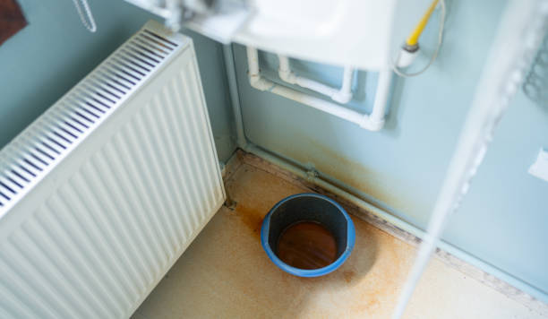 Best Ceiling water damage repair  in Swannanoa, NC