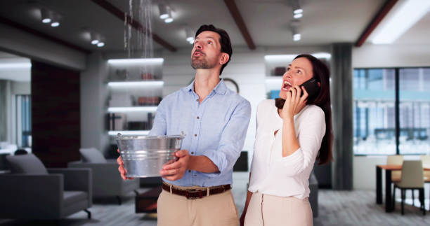 Best 24-hour water damage restoration  in Swannanoa, NC