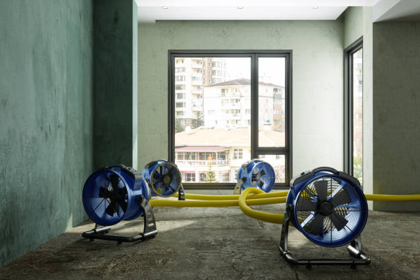 Best Carpet water damage restoration  in Swannanoa, NC